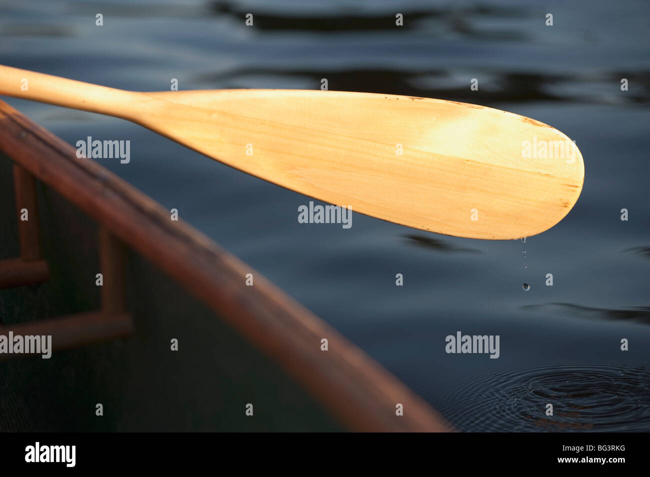 Canoe paddle hires stock photography and images Alamy