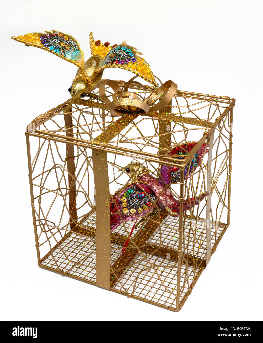 Gilded Cage High Resolution Stock Photography and Images Alamy