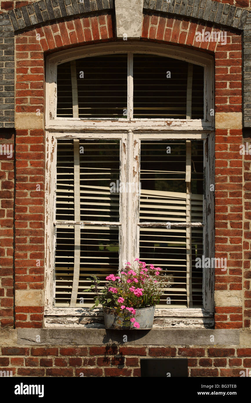 Pink Flowers in Window Box at the National Botanic Garden of Belgium at