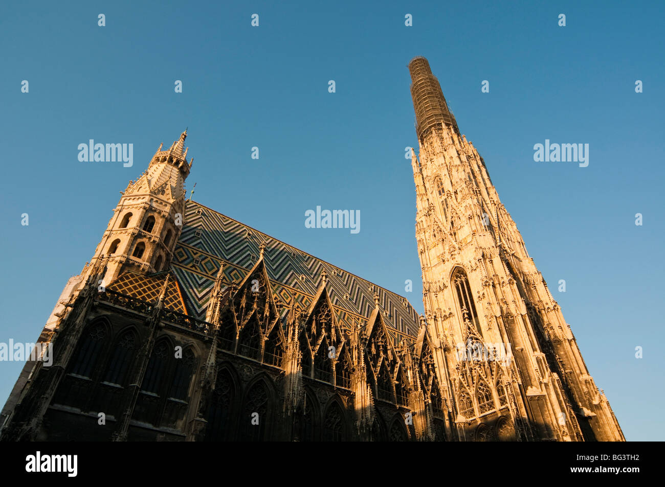 Stephansdom, Wien, Österreich | St. Stephen's Cathedral, Vienna, Austria Stock Photo