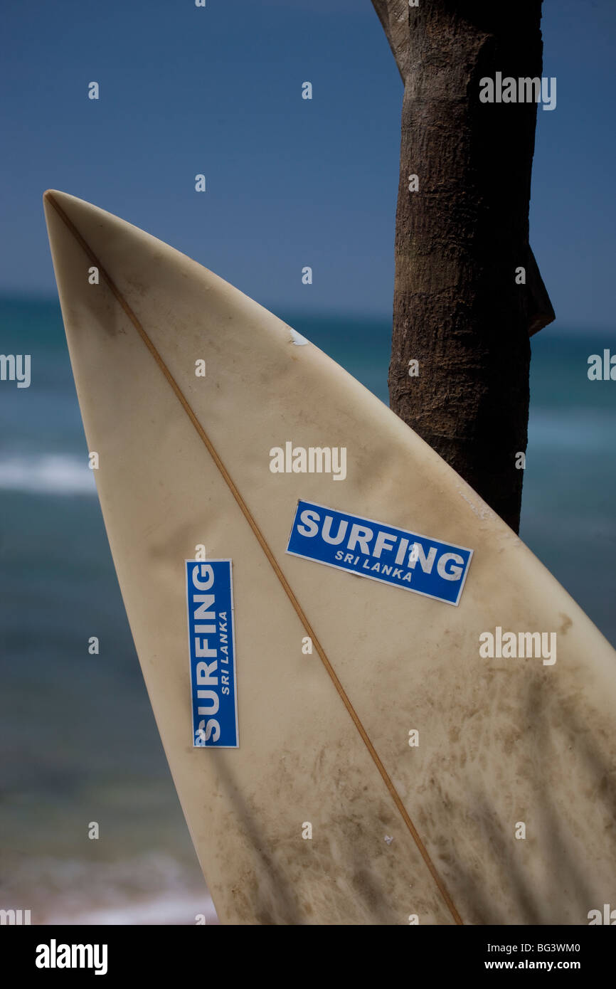 Surfboard, Sri Lanka Stock Photo Alamy