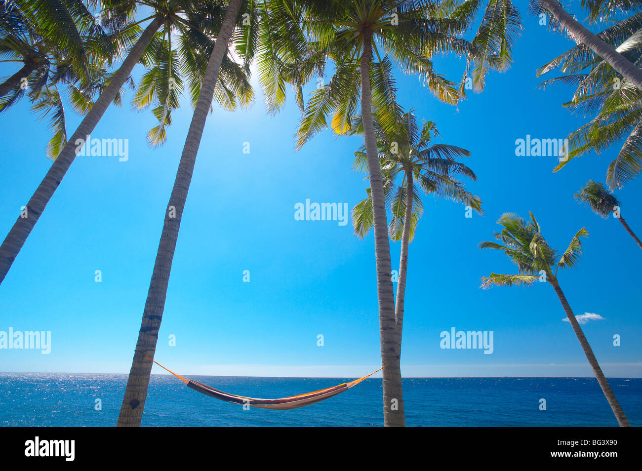 Hammock between palm trees on beach, Bali, Indonesia, Southeast Asia, Asia Stock Photo