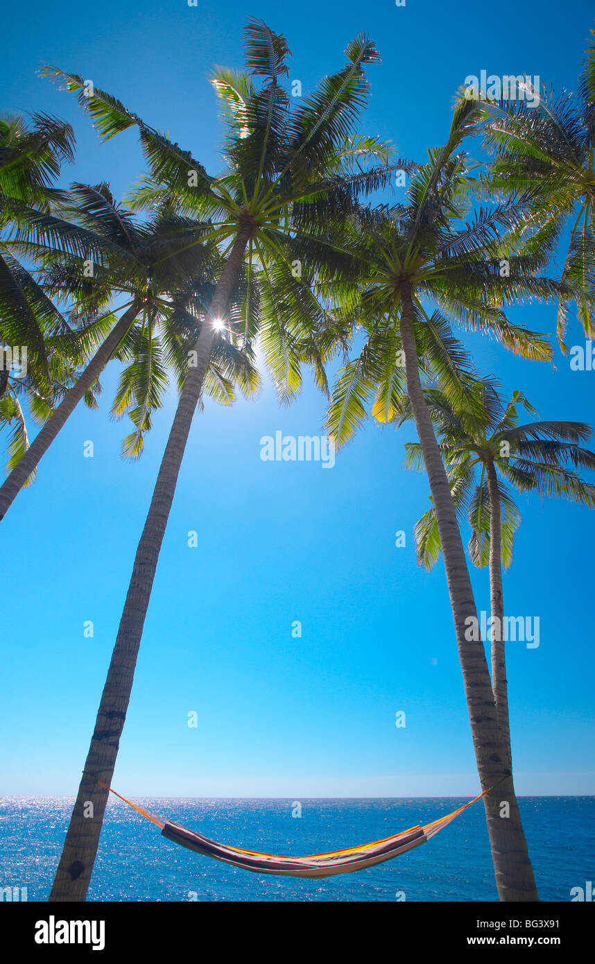 Hammock between palm trees on beach, Bali, Indonesia, Southeast Asia, Asia Stock Photo