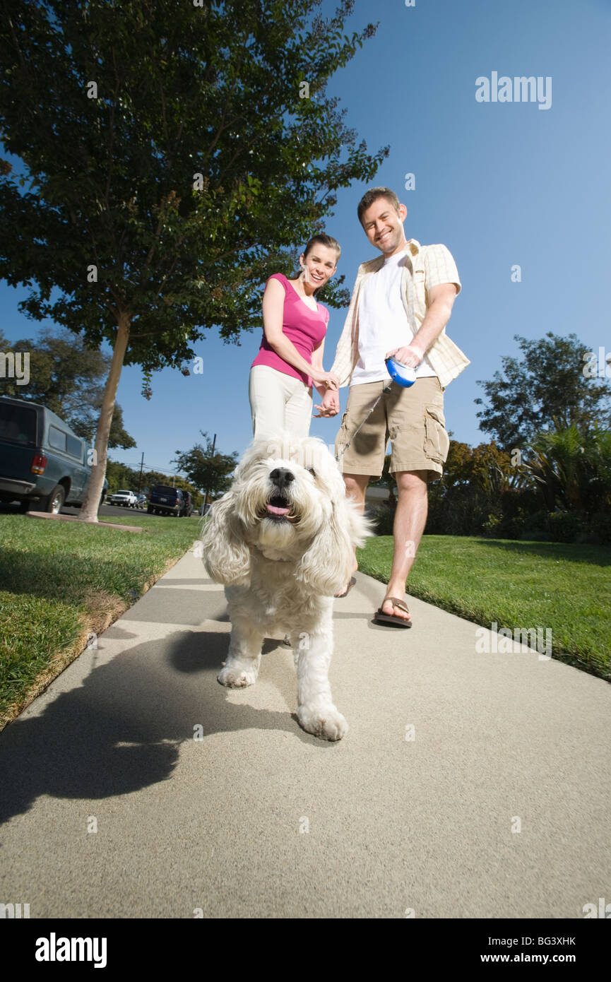 Couple walking dog along pavement Stock Photo Alamy