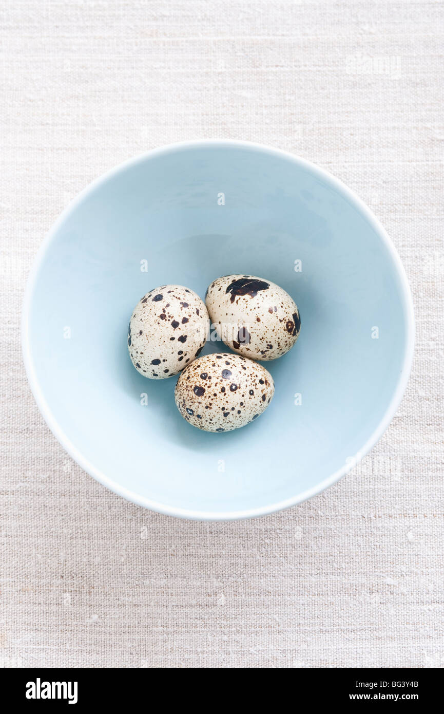 Speckled eggs Stock Photo