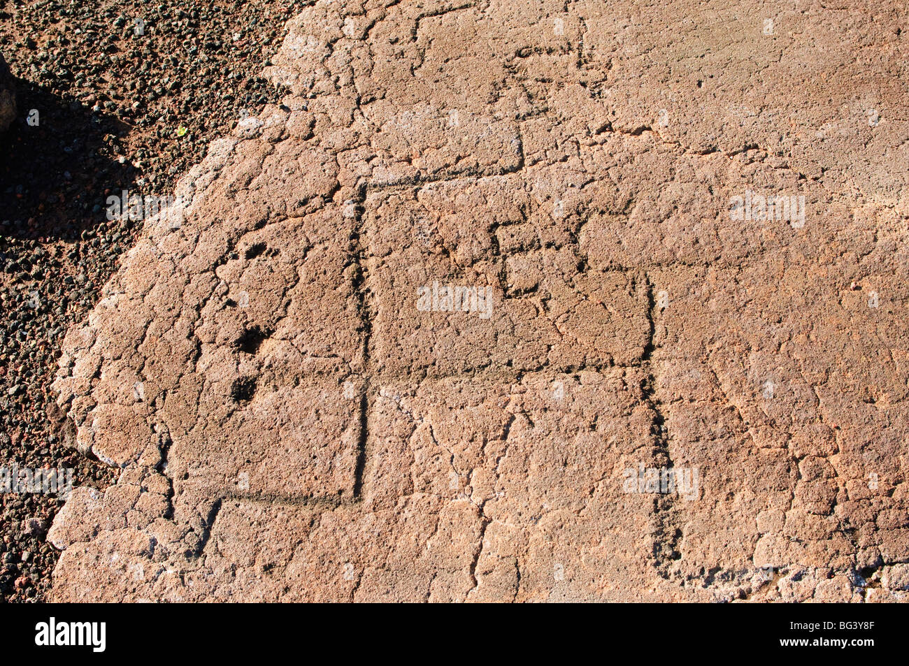 Petroglyphs, Big Island, Hawaiian Islands, United States of America, Pacific, North America Stock Photo