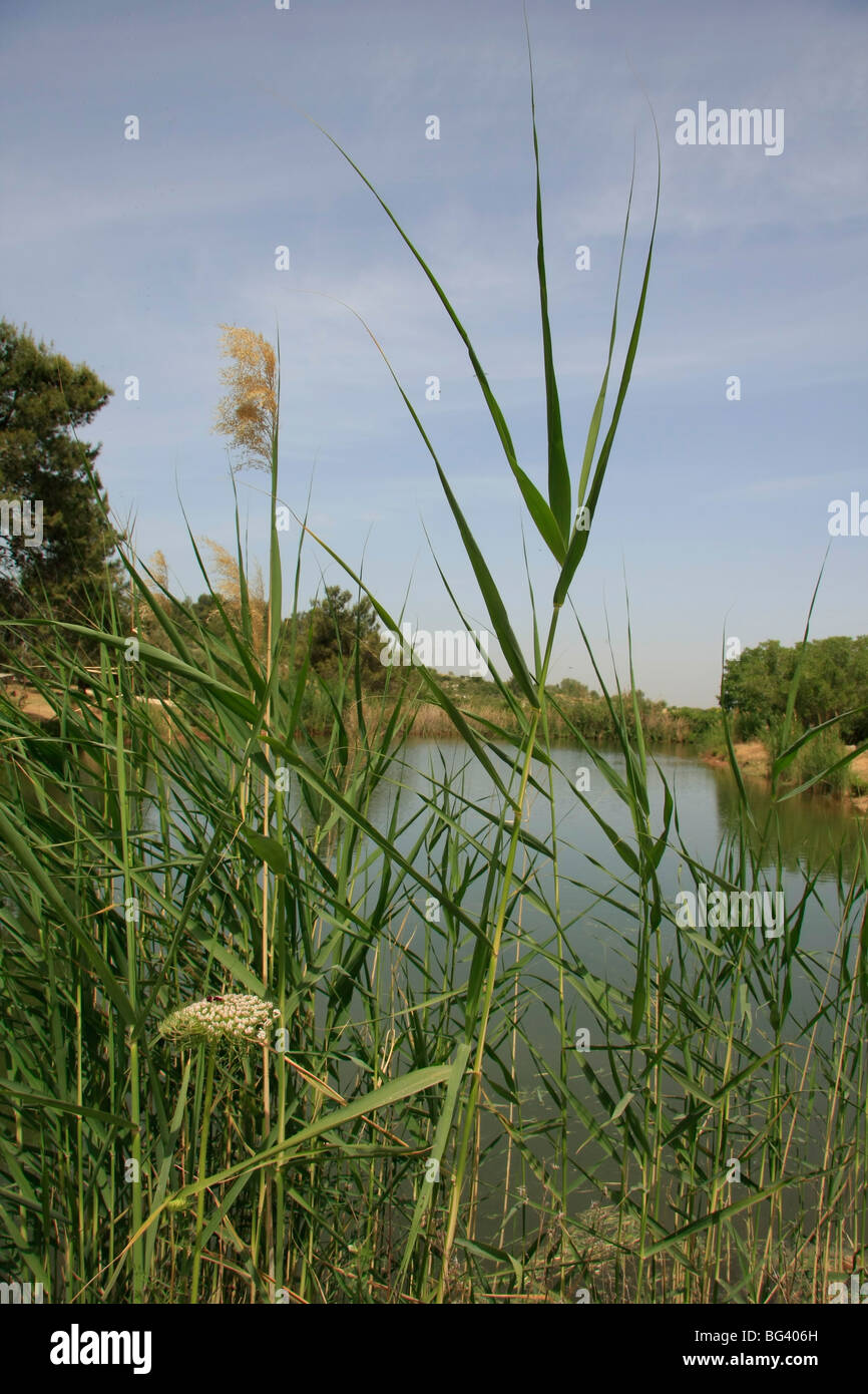 Israel, Shephelah. Neot Kedumim, Biblical Landscape Reserve Stock Photo