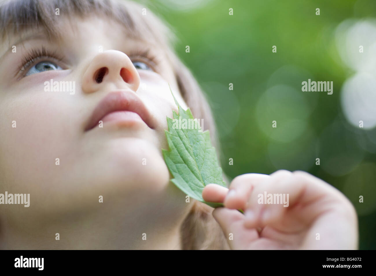 Girl holds leaf to her chin looking up Stock Photo