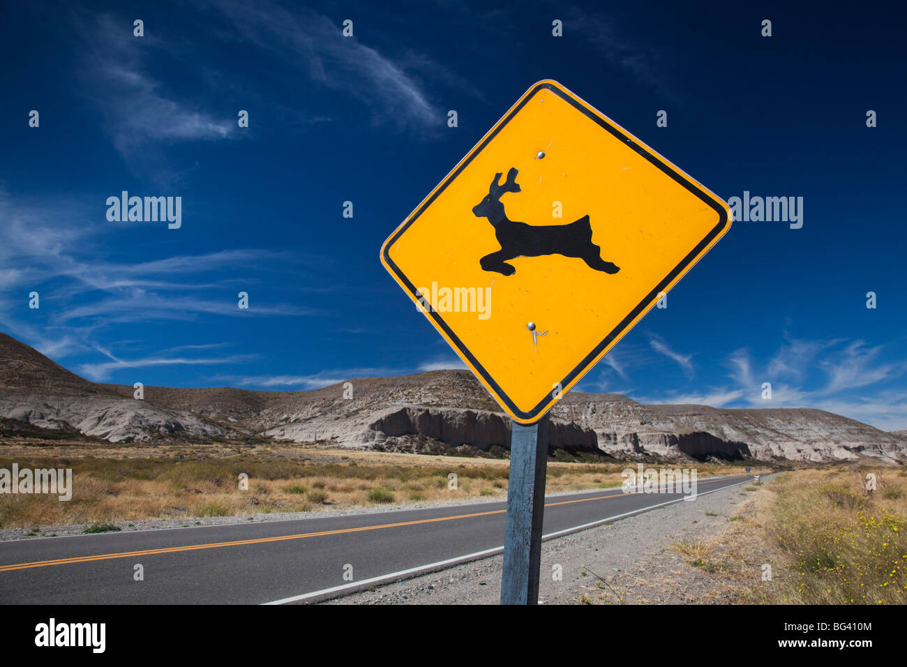 Argentina, Neuquen Province, Lake District, Rincon Chico, Deer crossing sign along RN 40 Stock Photo