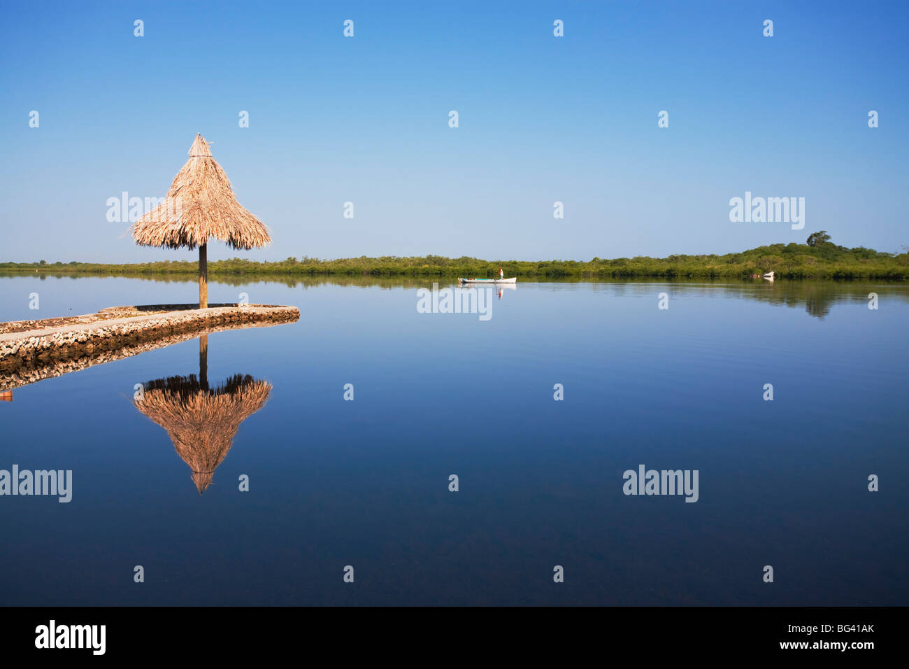 Honduras, Bay Islands, Utila, Oyster bed lagoon Stock Photo Alamy