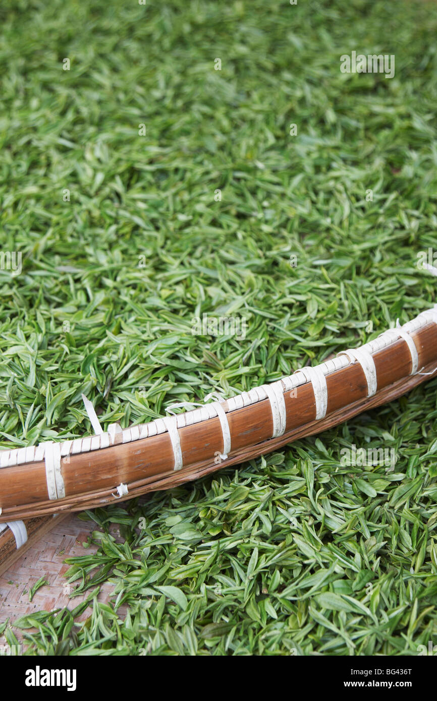 Agriculture china chinese drying hi-res stock photography and images ...