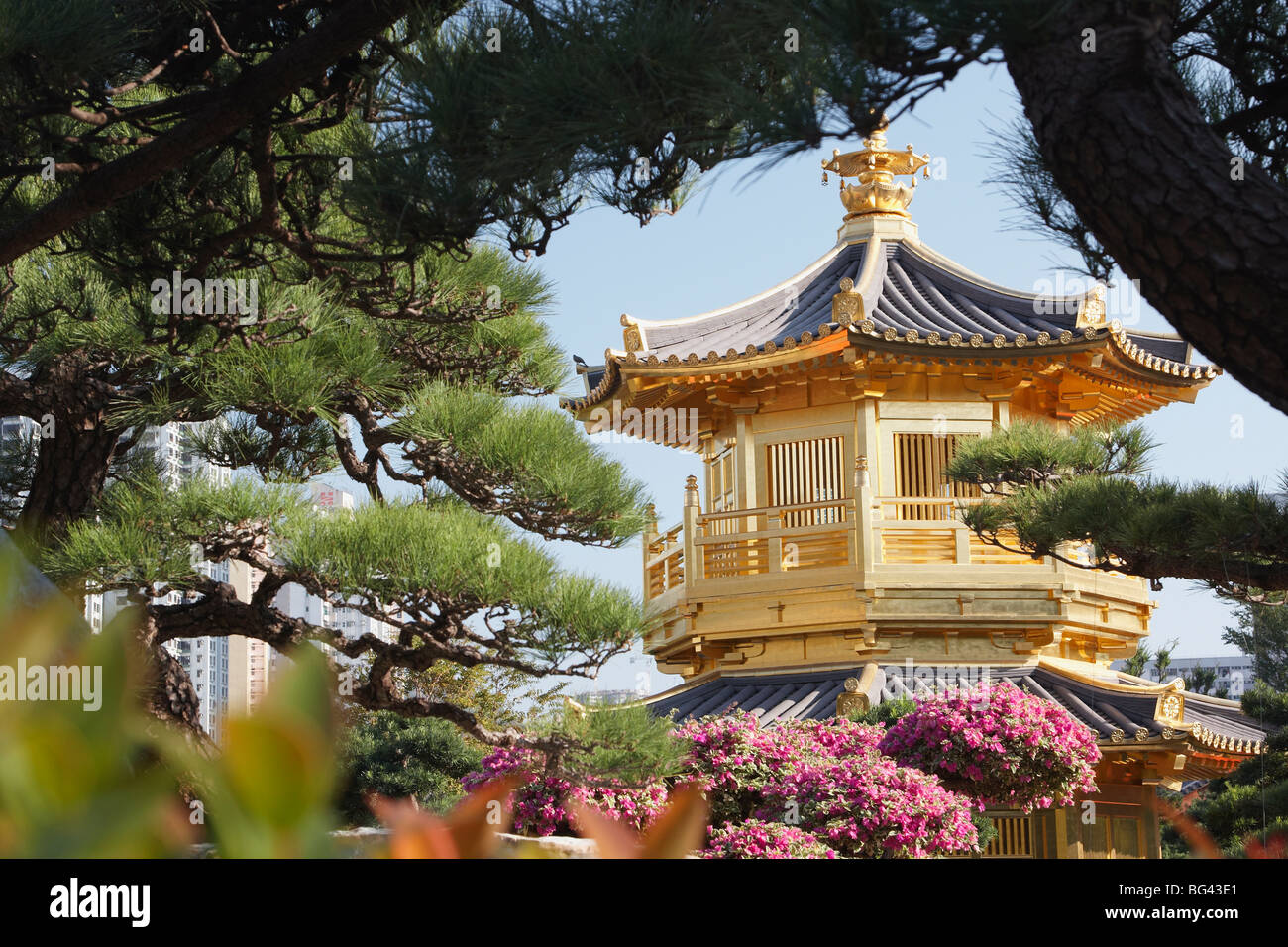 Golden Pagoda in Nan Lian Garden near Chi Lin Nunnery, Diamond Hill, Kowloon, Hong Kong, China, Asia Stock Photo