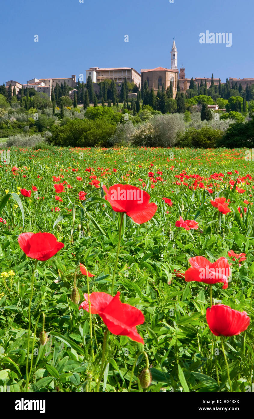 Field of poppies and hill town Pienza, Tuscany, Italy Stock Photo