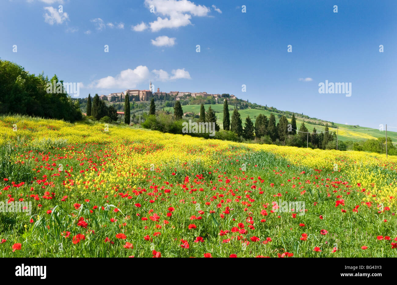 Hill town Pienza and field of poppies, Tuscany, Italy Stock Photo