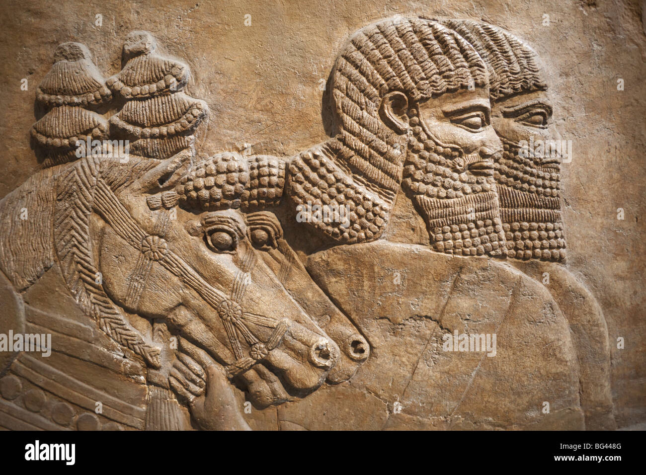 England, London, British Museum, Assyrian Relief from Nimrud showing Horses and Horsemen of the Royal Chariot 725BC Stock Photo