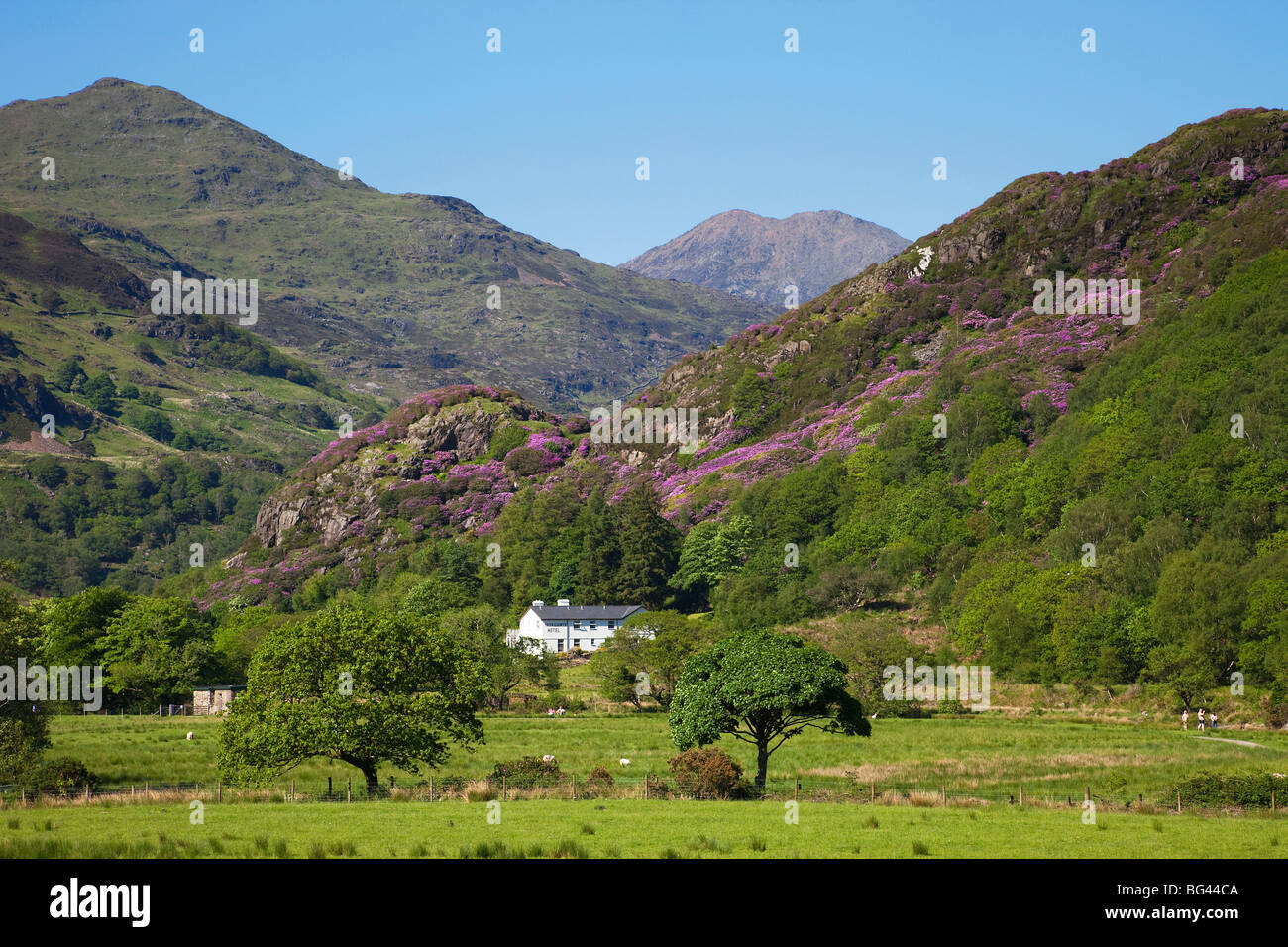 Wales, Gwynedd, Snowdonia National Park, View of Mount Snowdon from Beddgelert Stock Photo