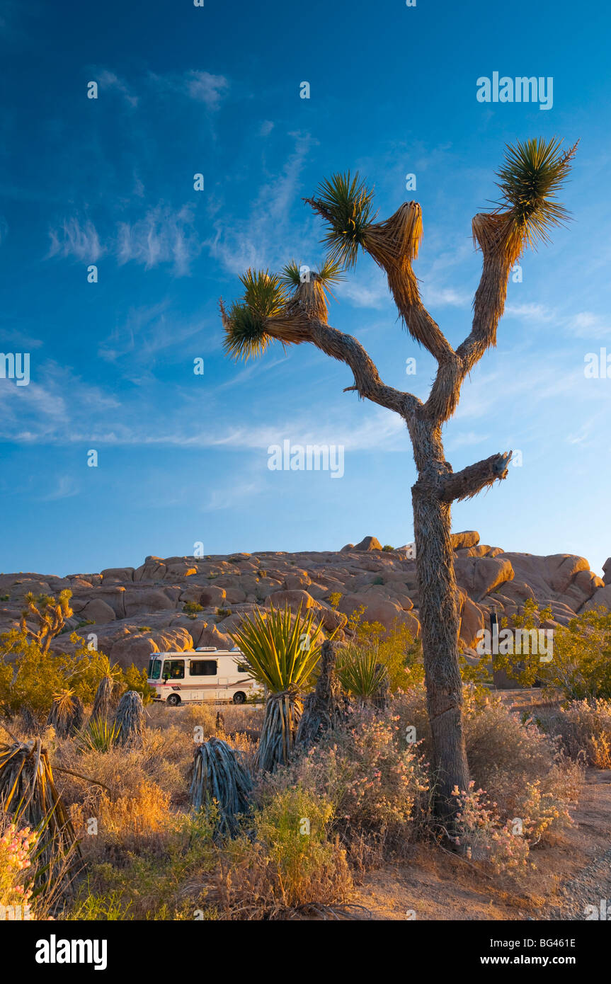 Camper joshua tree national hi-res stock photography and images - Alamy