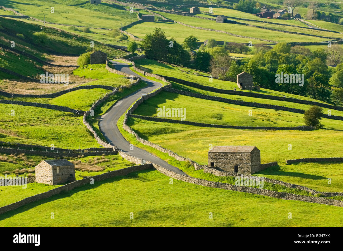 View of traditional stone barns and walls near Thwaite in Swaledale, Yorkshire, England, United Kingdom, Europe Stock Photo
