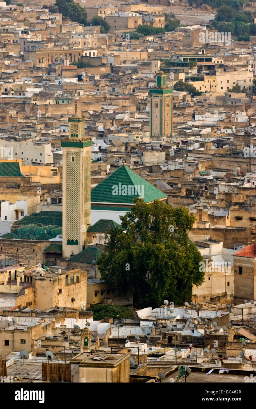 View of city from the hills surrounding, Fez, Morocco, North Africa, Africa Stock Photo