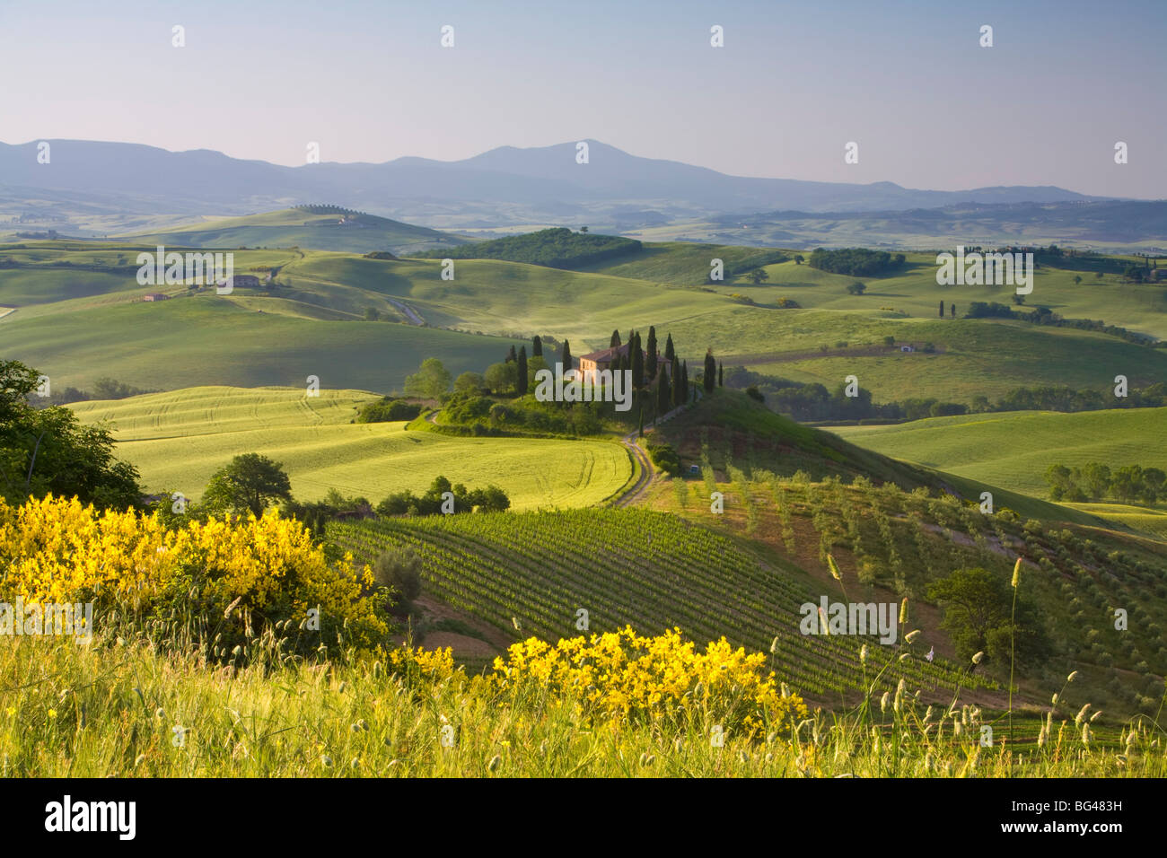 Farmhouse, Val d' Orcia, Tuscany, Italy Stock Photo