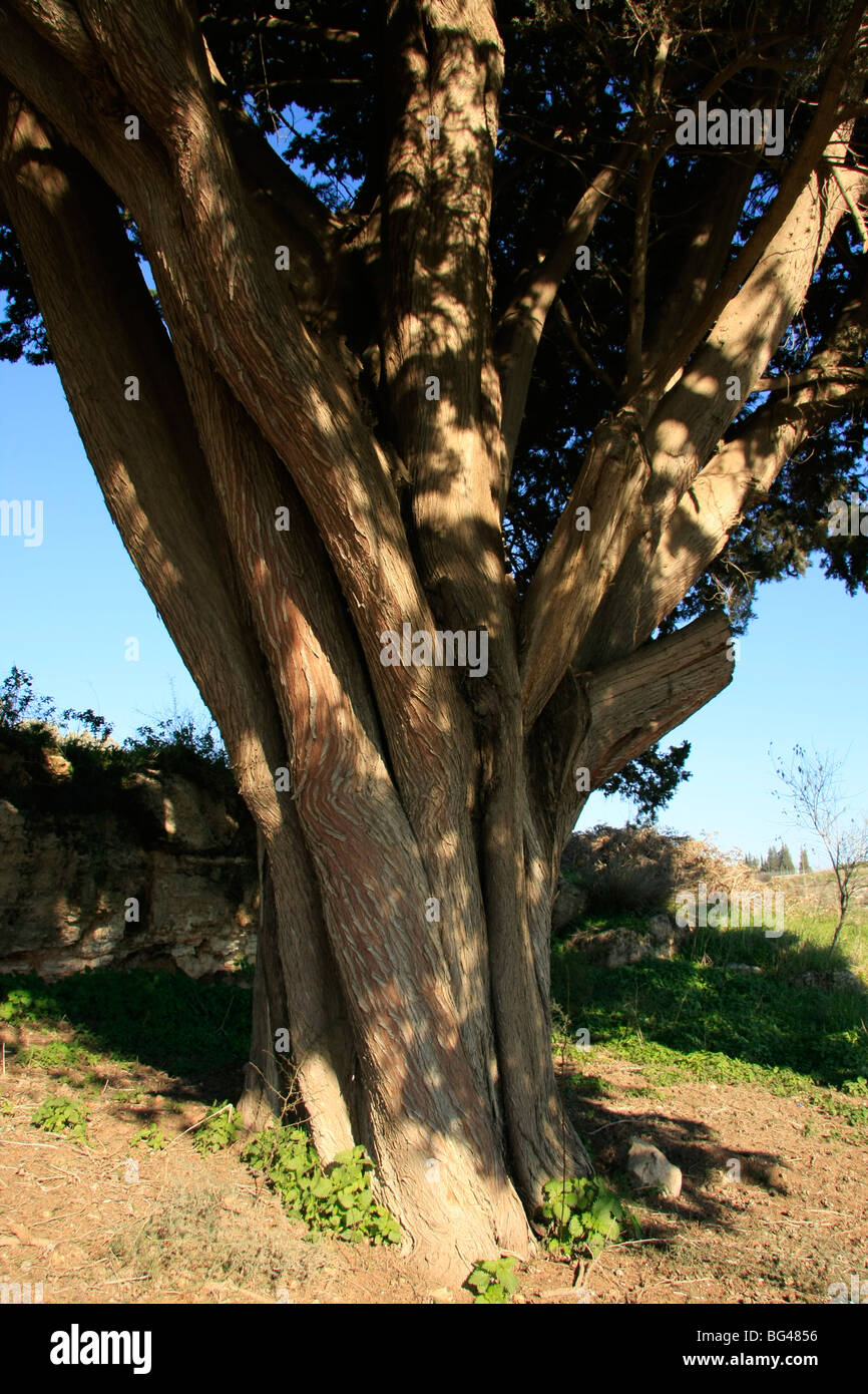 Hi305 135 hires stock photography and images Alamy