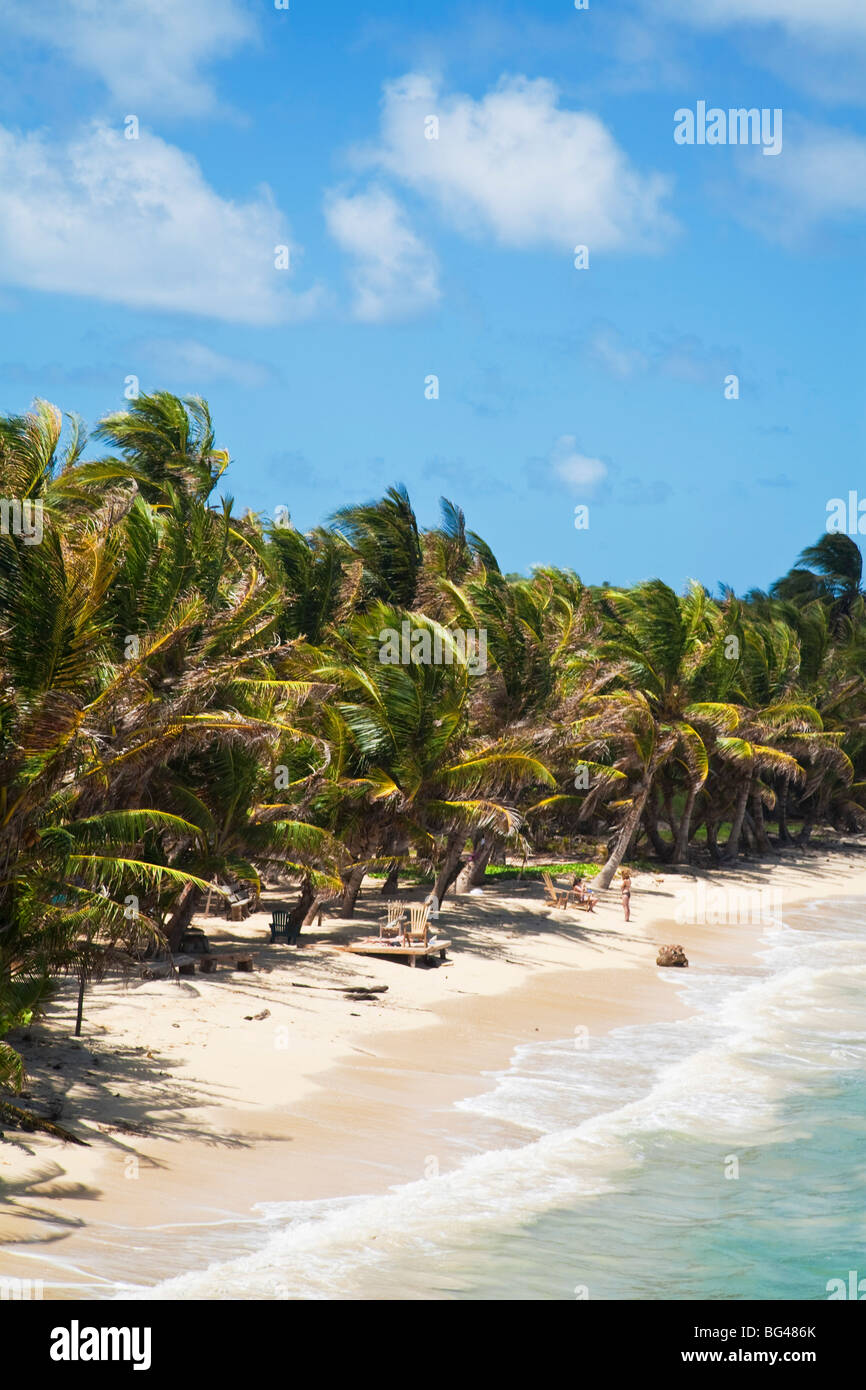 Nicaragua, Corn Islands, Little Corn Island, Iguana Beach Stock Photo Alamy