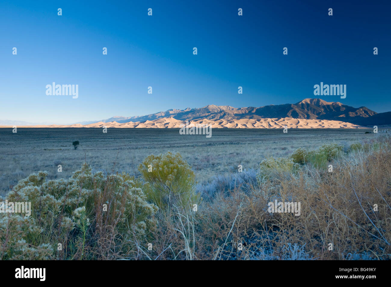 USA, Colarado, Great Sand Dunes National Park and Reserve Stock Photo