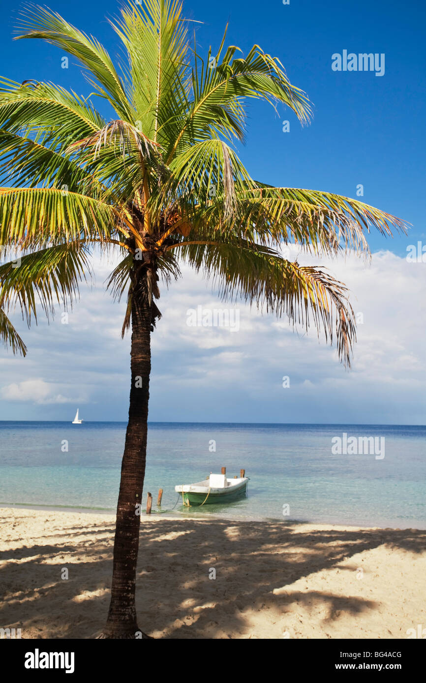 Honduras, Bay Islands, Roatan, West Bay Stock Photo Alamy