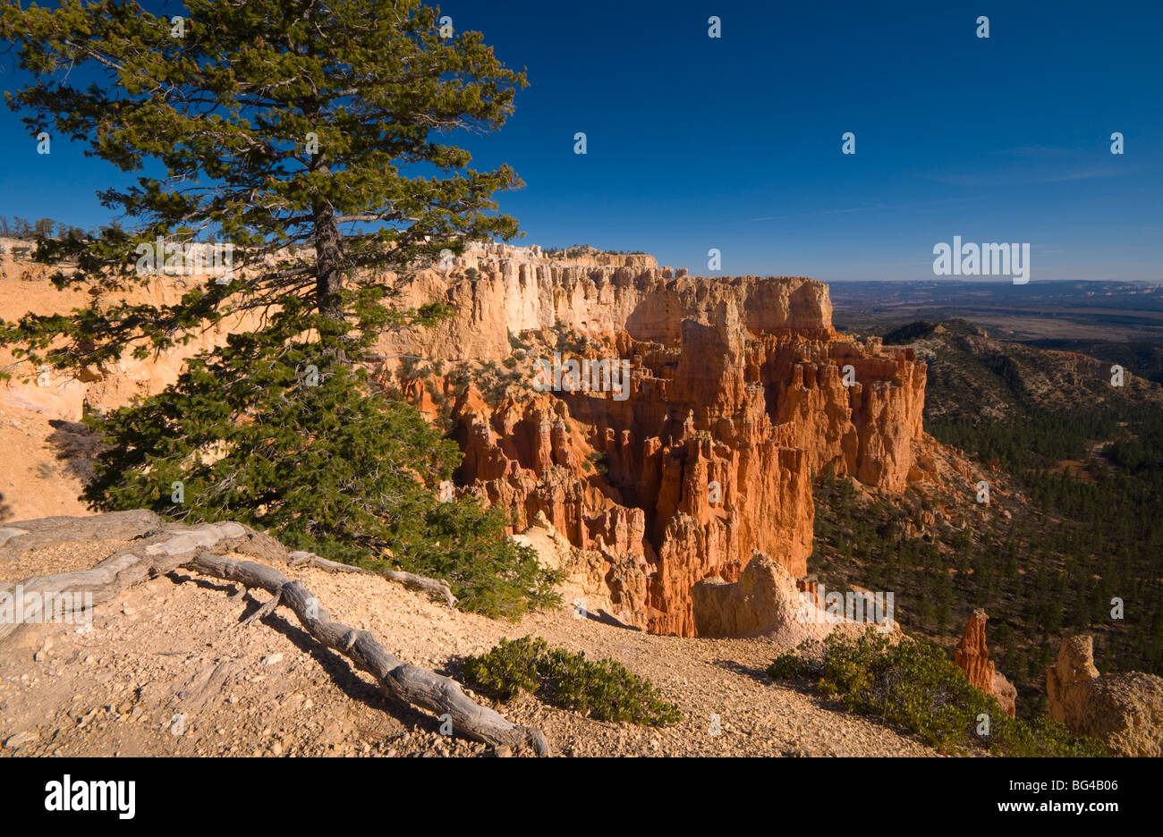 USA, Utah, Bryce Canyon National Park, from Paria Viewpoint Stock Photo