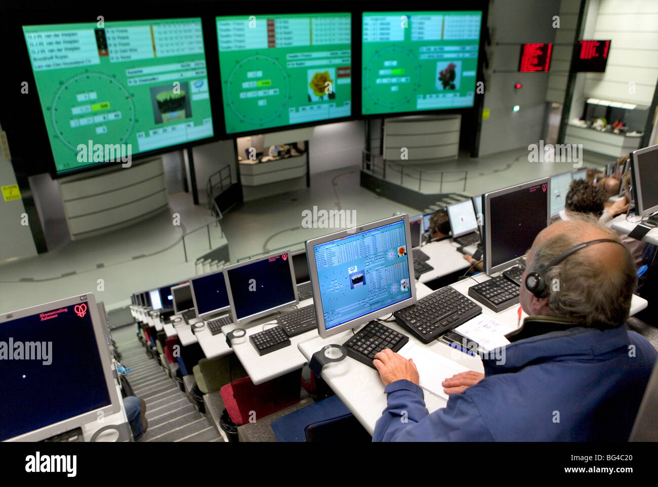 Flower auction in Aalsmeer, a cooperative of 6000 (flower) farmers in