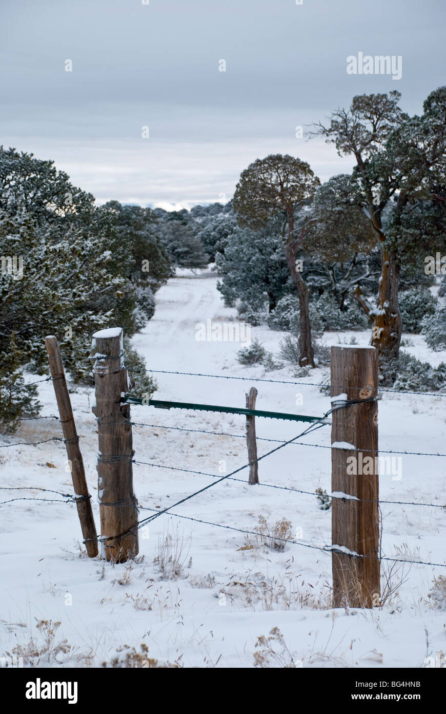 The beauty of the Sacramento Mountains in Southern New Mexico is
