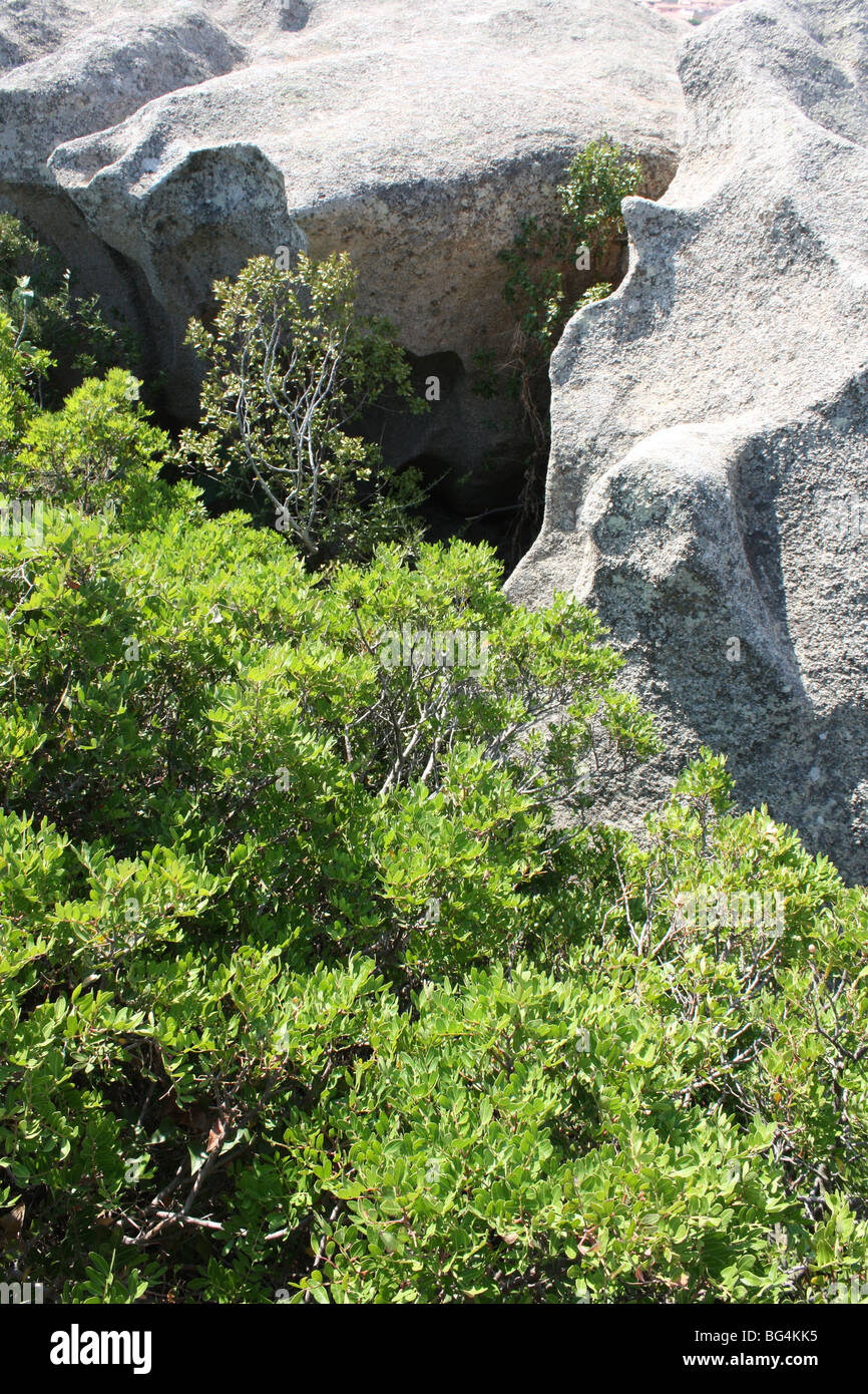 weathered granite landscape Palau Sardinia Italy Stock Photo