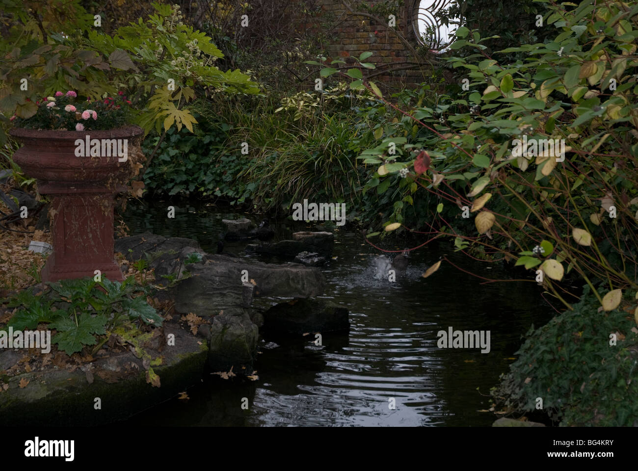 Water feature on Kensington roof garden, Kensington High Street London