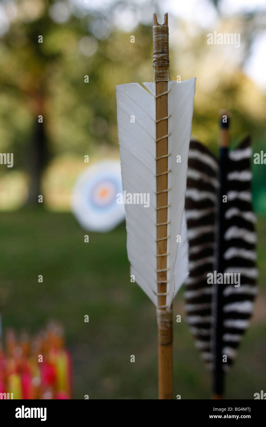 Sherwood Forest. Traditionally made and flighted goose feather arrows