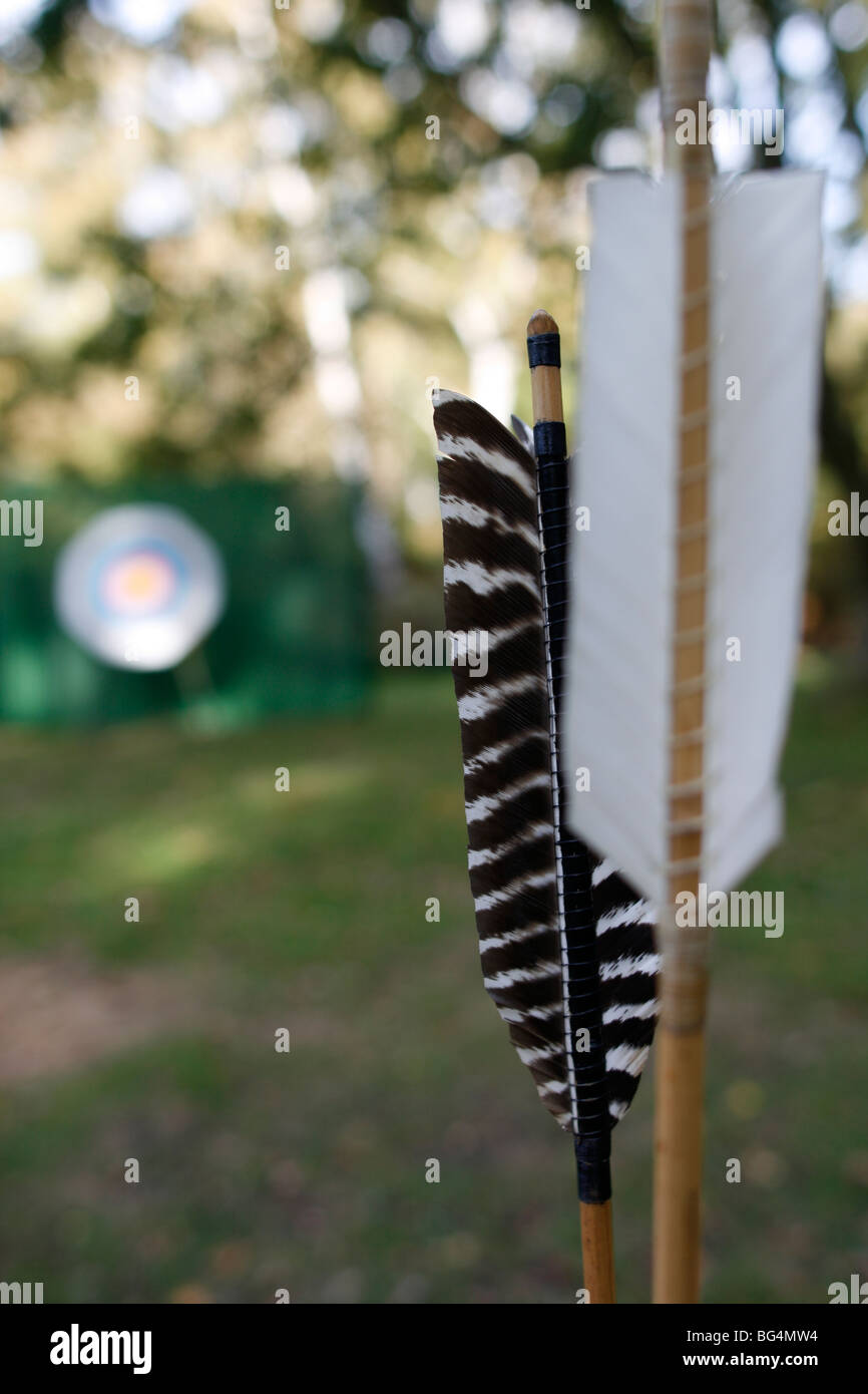 Sherwood Forest. Traditionally made and flighted goose feather arrows
