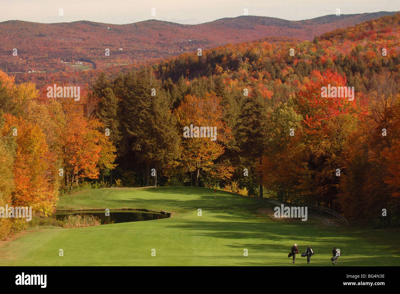 Golfers carry their bags as they as they approach the green as they play during fall foliage season in Warren, Vermont Stock Photo