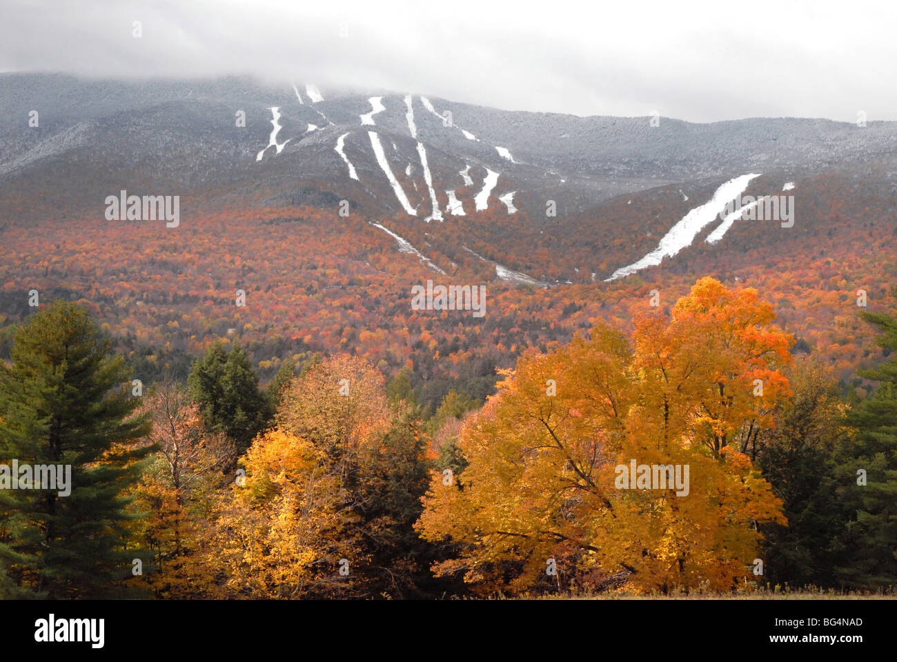 Fall trees in bright colors is in the foreground, as new snow lies on the ski slopes of Mt. Ellen at Sugarbush Resort in Fayston Stock Photo