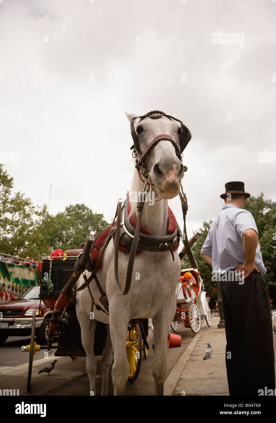 Horse and carriage at Central Park, Manhattan, New York City, NY, USA Stock Photo