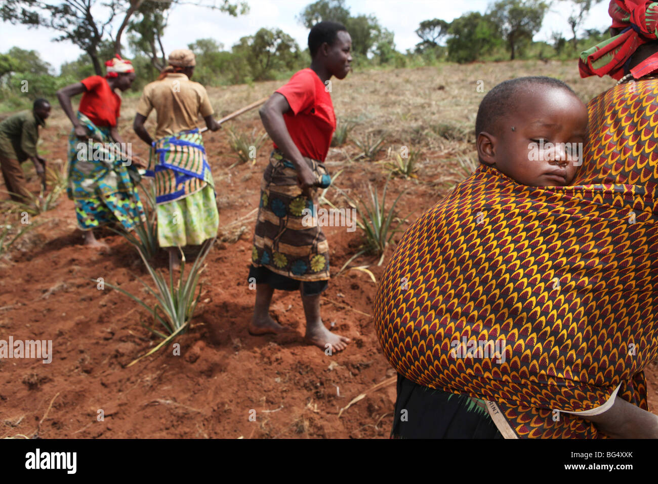 During the war in Burundi half a million people fled to Tanzania.Now they return ands rebuild their homes Stock Photo
