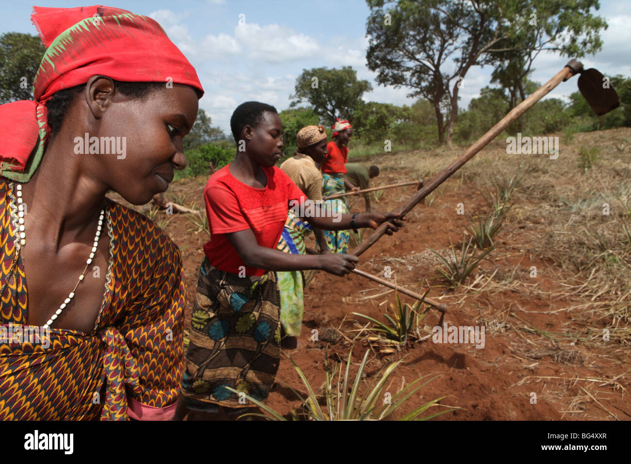During the war in Burundi half a million people fled to Tanzania.Now they return ands rebuild their homes Stock Photo