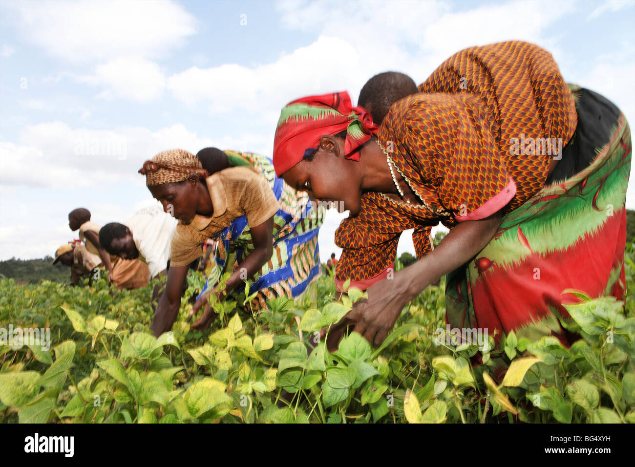 During the war in Burundi half a million people fled to ...