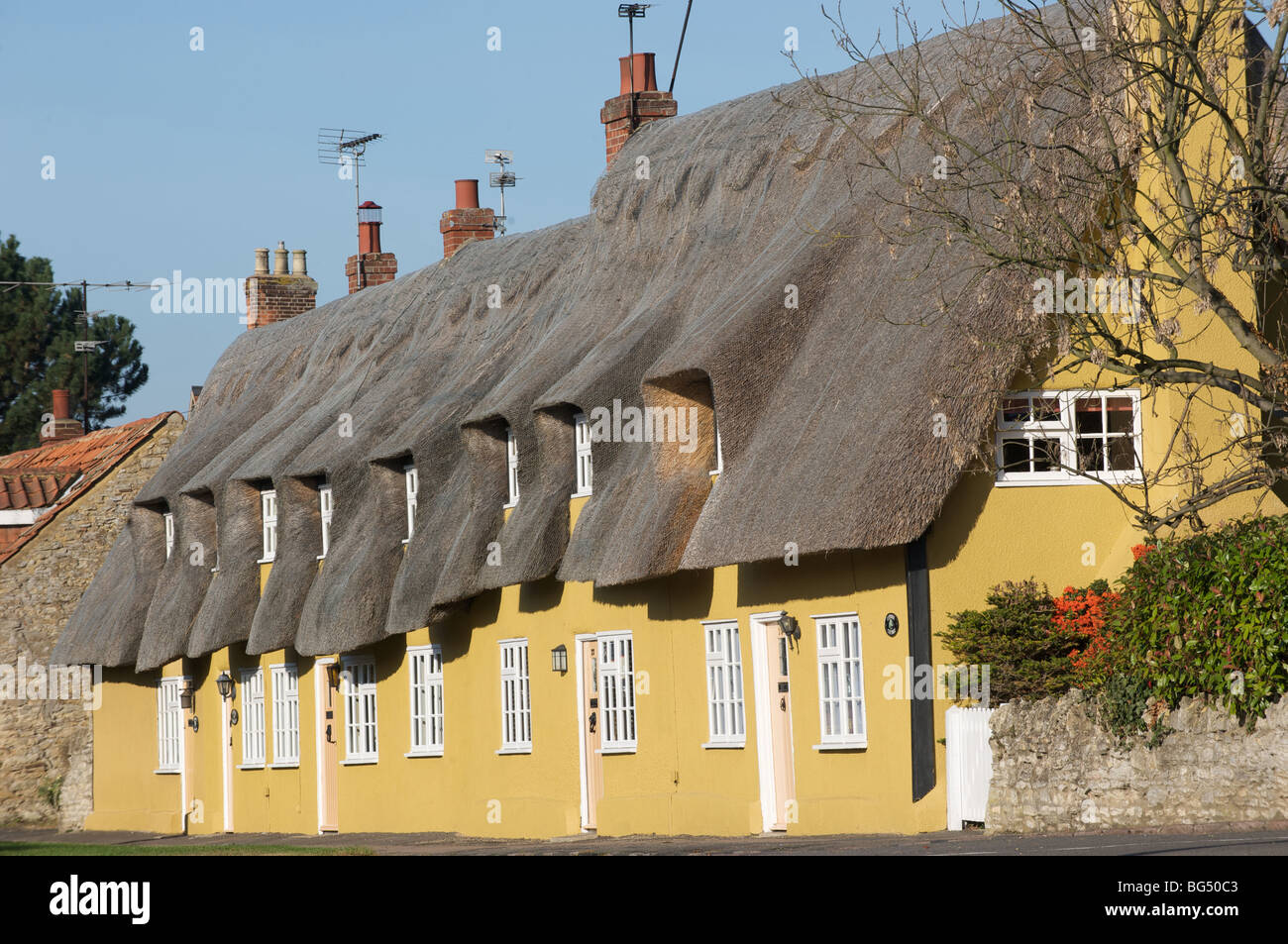 Thatched cottages in BIDDENHAM village Bedfordshire Stock Photo Alamy