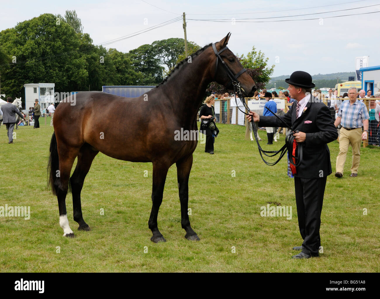 Horse being led hires stock photography and images Alamy