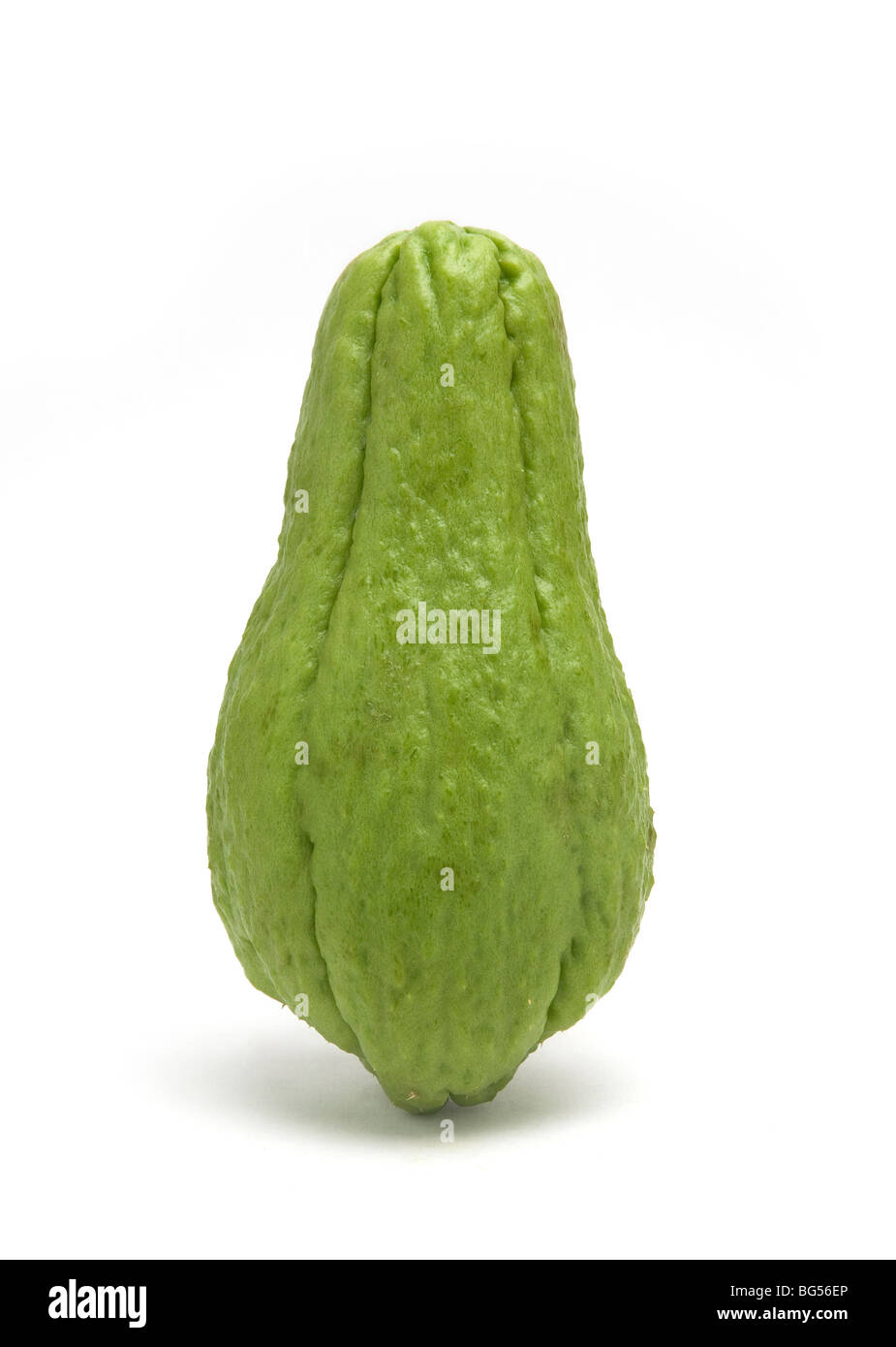Close-up studio picture of the tropical fruit of chayote. Brazil. Stock Photo