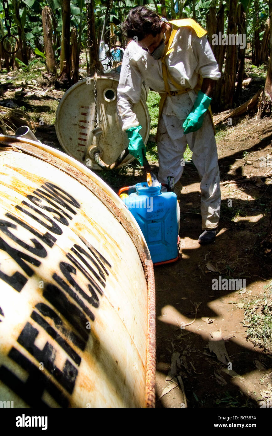 A Costa Rican worker filling a pump sprayer with chemicals used for maintenance on the banana plantation in Costa Rica. Stock Photo