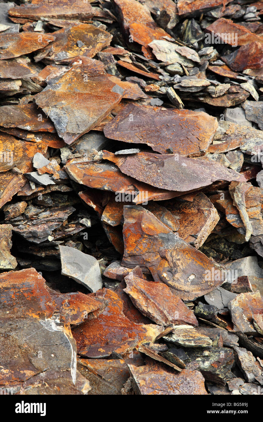 Close up of Copper coloured slate at Kimmeridge Bay, Dorset, England, UK Stock Photo