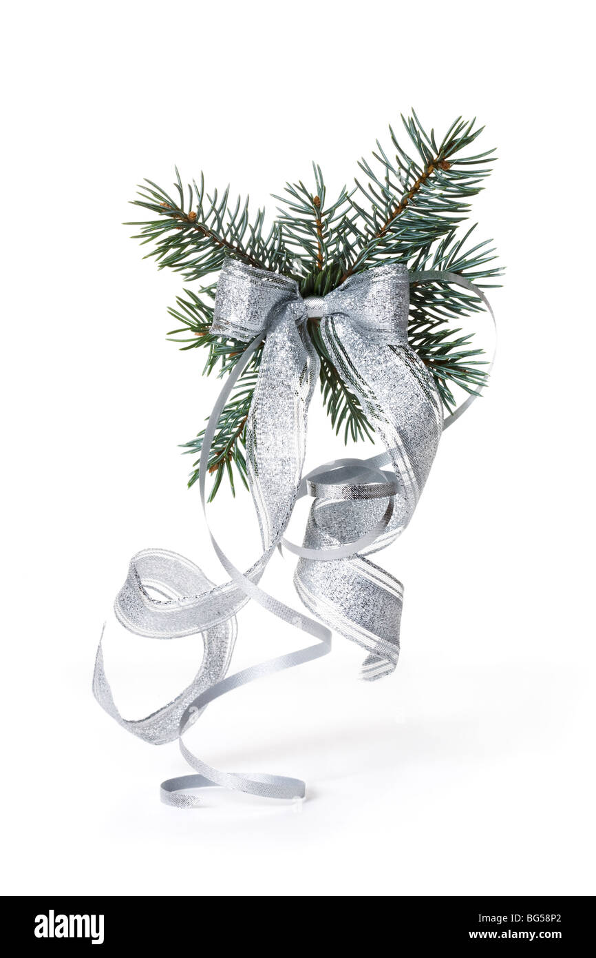 Blue Spruce Branch with Silver Bow Stock Photo - Alamy