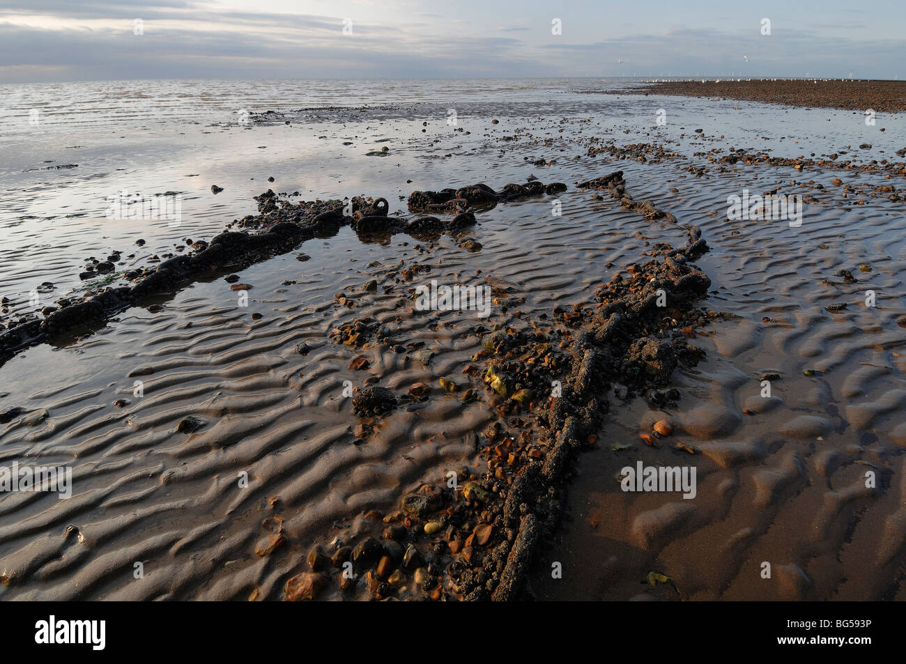 buoy chain on the sand whitstable kent Stock Photo - Alamy