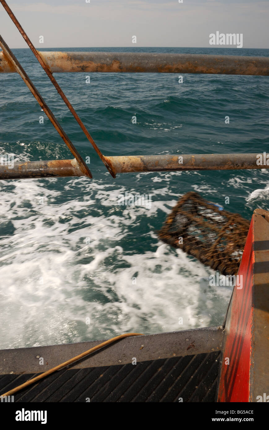 Shooting and fishing hi-res stock photography and images - Alamy