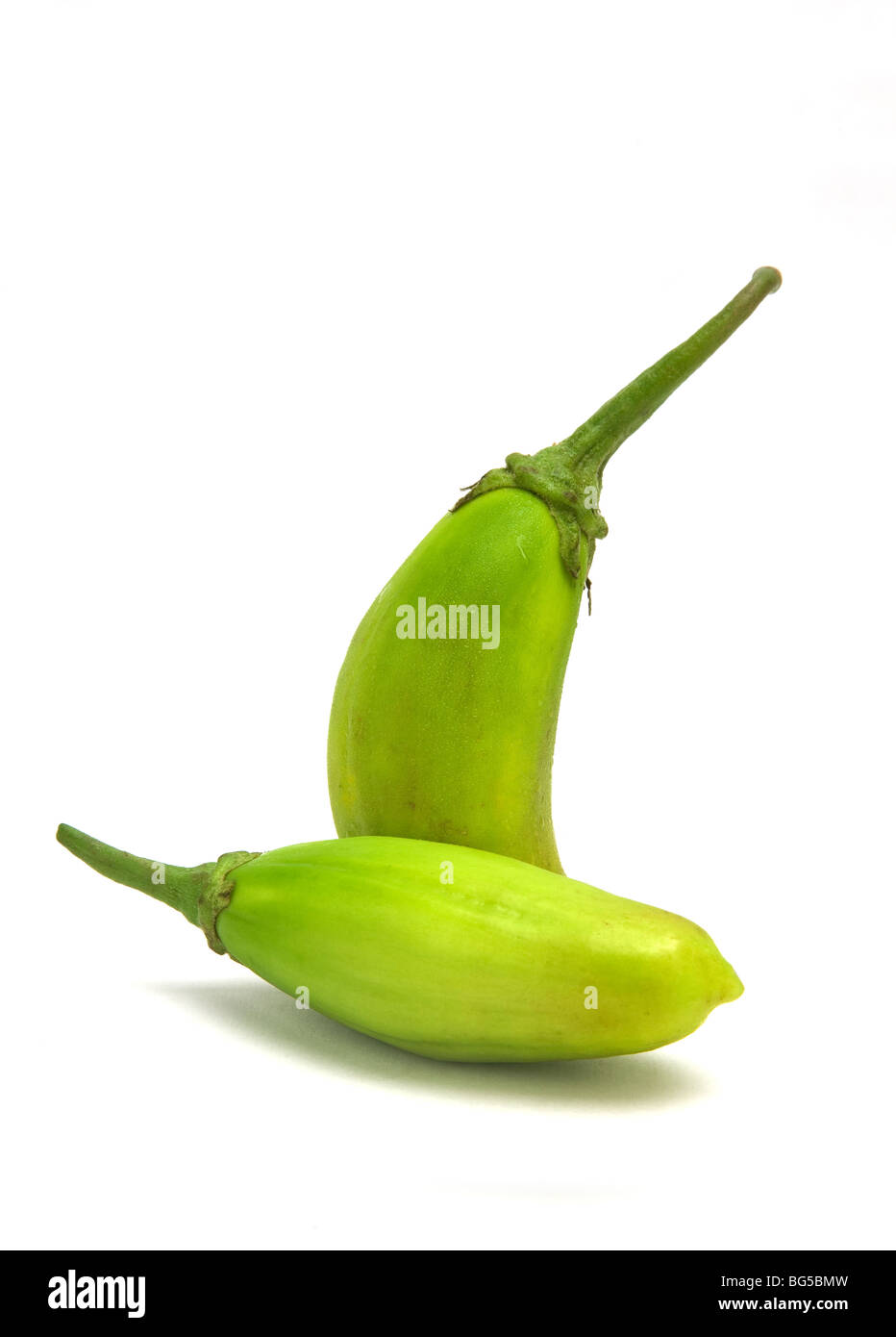 Jiló (Scarlet eggplant) is a fruit known for its bitter taste, widely  consumed in Brazil in the form of a salad or fried with salt Stock Photo -  Alamy